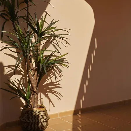 Villa Monte Oliveiras With Private Pool