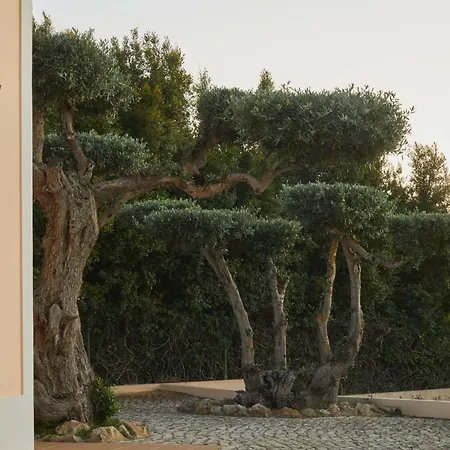 Monte Oliveiras With Private Pool فيلة البوفيرا